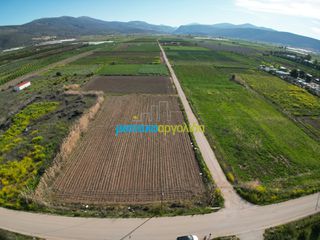Οικόπεδο 8.336 τ.μ. για πώληση, Αργολίδα, Ασίνη-thumb-17