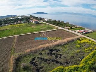 Οικόπεδο 8.336 τ.μ. για πώληση, Αργολίδα, Ασίνη-thumb-7