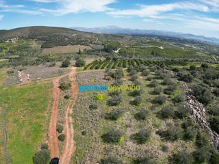 Αγροτεμάχια 6.308,87 τ.μ. για πώληση, Αργολίδα, Άργος-thumb-5