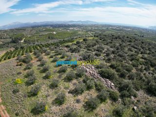 Αγροτεμάχια 6.308,87 τ.μ. για πώληση, Αργολίδα, Άργος-thumb-6