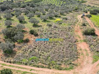 Αγροτεμάχια 6.308,87 τ.μ. για πώληση, Αργολίδα, Άργος-thumb-12