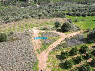Αγροτεμάχια 6.308,87 τ.μ. για πώληση, Αργολίδα, Άργος-thumb-8