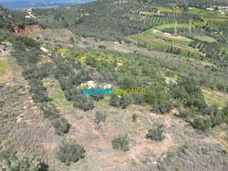 Αγροτεμάχια 6.308,87 τ.μ. για πώληση, Αργολίδα, Άργος-thumb-7