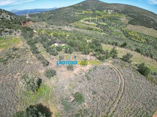 Αγροτεμάχια 6.308,87 τ.μ. για πώληση, Αργολίδα, Άργος-thumb-9