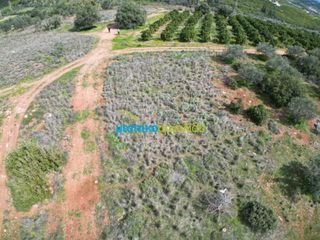 Αγροτεμάχια 6.308,87 τ.μ. για πώληση, Αργολίδα, Άργος-thumb-3
