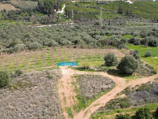 Αγροτεμάχια 6.308,87 τ.μ. για πώληση, Αργολίδα, Άργος-thumb-11