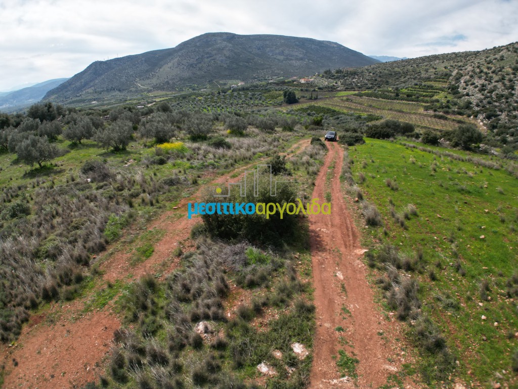 Αγροτεμάχια 6.308,87 τ.μ. για πώληση, Αργολίδα, Άργος