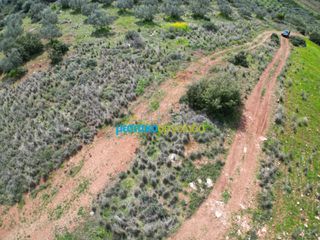 Αγροτεμάχια 6.308,87 τ.μ. για πώληση, Αργολίδα, Άργος-thumb-1