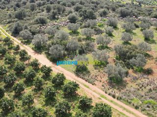 Αγροτεμάχια 6.308,87 τ.μ. για πώληση, Αργολίδα, Άργος-thumb-14