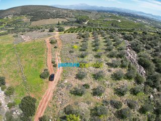Αγροτεμάχια 6.308,87 τ.μ. για πώληση, Αργολίδα, Άργος-thumb-4