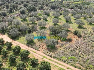 Αγροτεμάχια 6.308,87 τ.μ. για πώληση, Αργολίδα, Άργος-thumb-13