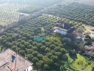 Μονοκατοικία 340 τ.μ. για πώληση, Αργολίδα, Άργος-thumb-25