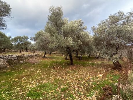 Land plot 1.858sqm for sale-Nikiforos Fokas » Zouridi