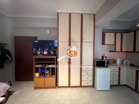 Studio / γκαρσονιέρα 30τ.μ. για πώληση-Μεσσατίδα » Δεμένικα