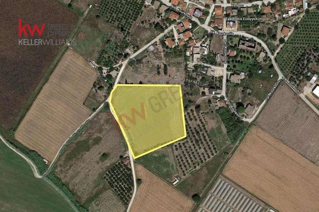 Οικόπεδο 14.941 τ.μ. για πώληση, Ν. Ηλείας, Ανδραβίδα