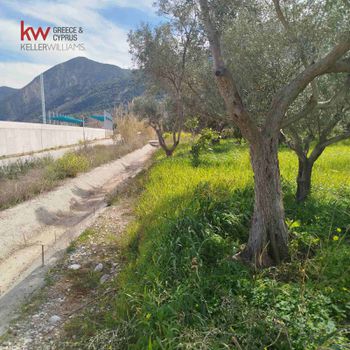 Οικόπεδο 4.200τ.μ. για πώληση-Ρίο