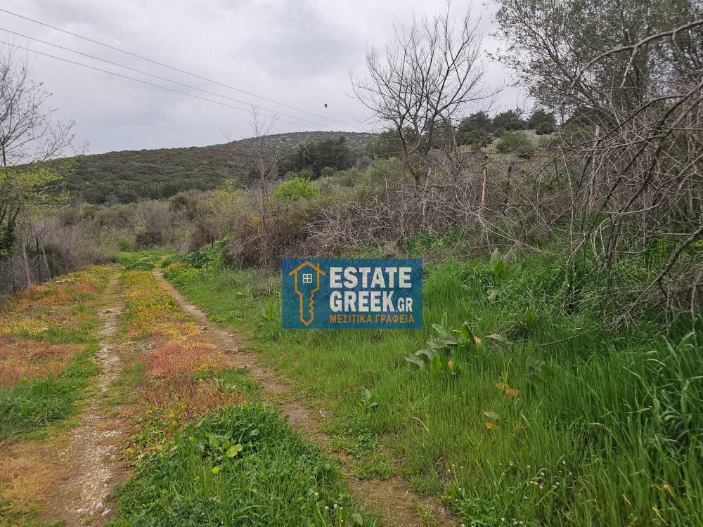 Οικόπεδο 369 τ.μ. προς πώληση, Κρυονέρι Φιλίππων