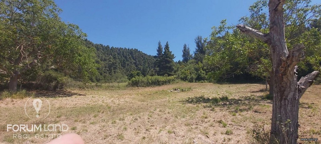 Οικόπεδο 638 τ.μ. προς πώληση, Σκάλα Φούρκας