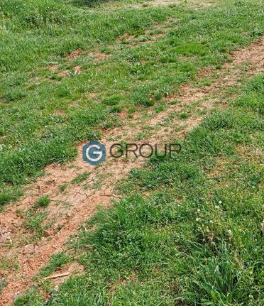 Land plot 630 sqm for sale, Evros, Alexandroupoli