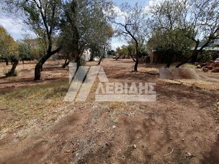 Οικόπεδο 700 τ.μ. για ενοικίαση, Ν. Χίου, Χίος-thumb-3
