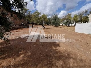 Οικόπεδο 700 τ.μ. για ενοικίαση, Ν. Χίου, Χίος-thumb-1