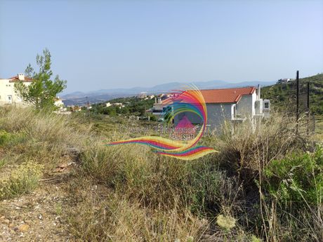 Οικόπεδο 500τ.μ. για πώληση-Πεντέλη » Νταού πεντέλη