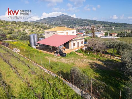 Craft space 500sqm for sale-Nemea