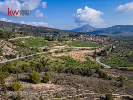 Parcel 100.000sqm for sale-Nemea