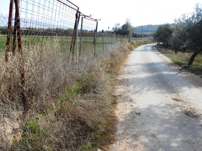 Αγροτεμάχια 15.000 τ.μ. πρός πώληση, Μαγνησία, Βόλος