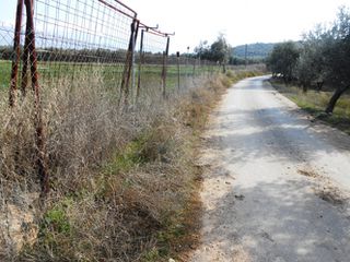 Αγροτεμάχια 15.000 τ.μ. για πώληση