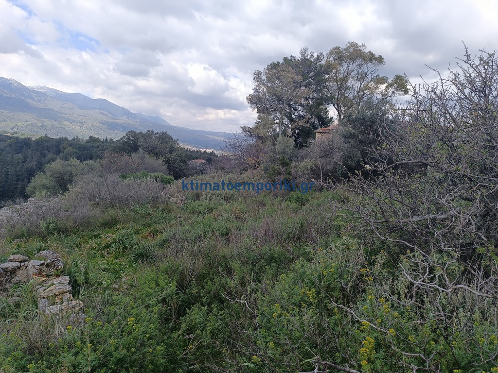 Οικόπεδο 980 τ.μ. προς πώληση, Αλίκαμπος