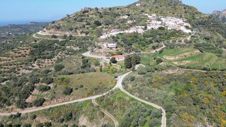 Αγροτεμάχια 14.380 τ.μ. για πώληση