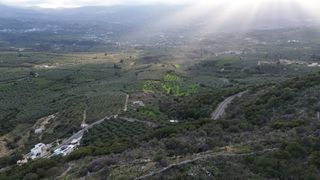 Αγροτεμάχια 19.678 τ.μ. προς πώληση, Βάμος-thumb-27