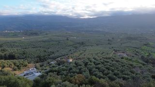 Αγροτεμάχια 19.678 τ.μ. προς πώληση, Βάμος-thumb-8