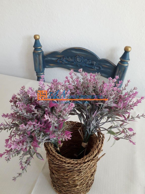 Studio / γκαρσονιέρα 35 τ.μ. προς ενοικίαση, Καλλονή Λέσβου