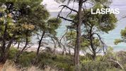 Αγροτεμάχια 8.000τ.μ. για πώληση-Κασσάνδρα