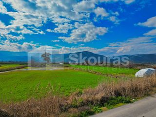 Αγροτεμάχια 22.046 τ.μ. προς πώληση, Νέα Κίος-thumb-25