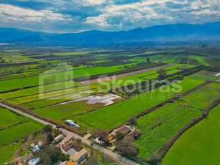 Αγροτεμάχια 22.046 τ.μ. προς πώληση, Νέα Κίος-thumb-1