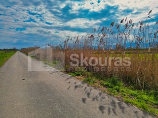 Αγροτεμάχια 22.046 τ.μ. προς πώληση, Νέα Κίος-thumb-22
