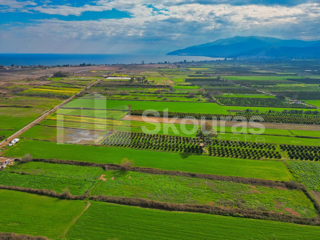 Αγροτεμάχια 22.046 τ.μ. προς πώληση, Νέα Κίος