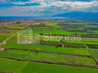 Αγροτεμάχια 22.046 τ.μ. προς πώληση, Νέα Κίος-thumb-4