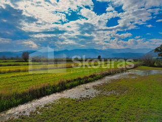 Αγροτεμάχια 22.046 τ.μ. προς πώληση, Νέα Κίος-thumb-18
