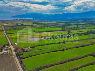 Αγροτεμάχια 22.046 τ.μ. προς πώληση, Νέα Κίος-thumb-2