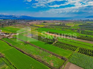 Αγροτεμάχια 22.046 τ.μ. προς πώληση, Νέα Κίος-thumb-5