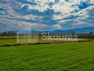 Αγροτεμάχια 22.046 τ.μ. προς πώληση, Νέα Κίος-thumb-16