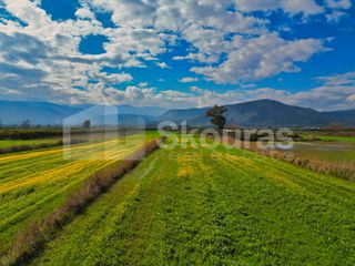 Αγροτεμάχια 22.046 τ.μ. προς πώληση, Νέα Κίος-thumb-19