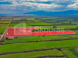 Αγροτεμάχια 22.046 τ.μ. προς πώληση, Νέα Κίος-thumb-3