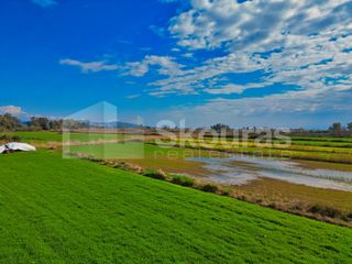 Αγροτεμάχια 22.046 τ.μ. προς πώληση, Νέα Κίος-thumb-14