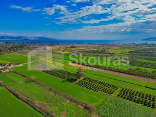 Αγροτεμάχια 22.046 τ.μ. προς πώληση, Νέα Κίος-thumb-6