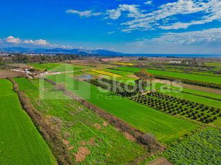 Αγροτεμάχια 22.046 τ.μ. προς πώληση, Νέα Κίος-thumb-8